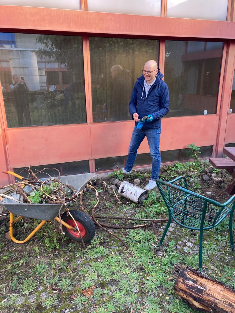 Baumwurzeln wurden unter Pflastersteinen hervorgehoben.